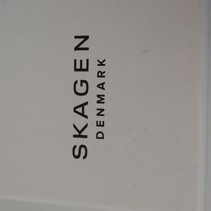 Skagen watch